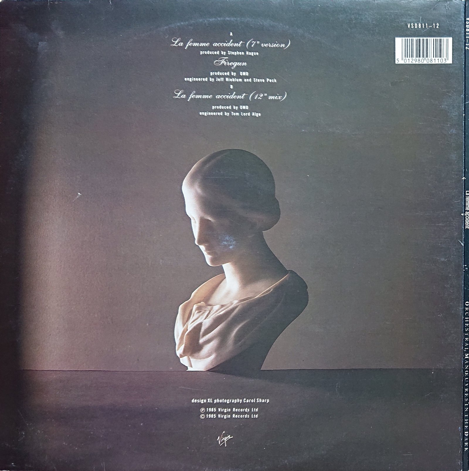 Back cover of VSD 811-12